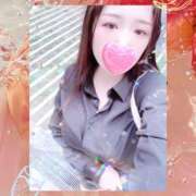 ヒメ日記 2025/09/28 19:45 投稿 ミモザ 飾窓