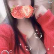 ヒメ日記 2025/09/29 10:33 投稿 ミモザ 飾窓