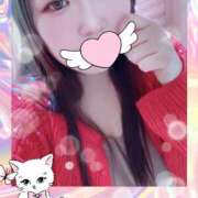 ヒメ日記 2025/09/29 13:00 投稿 ミモザ 飾窓