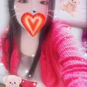 ヒメ日記 2025/09/29 16:00 投稿 ミモザ 飾窓