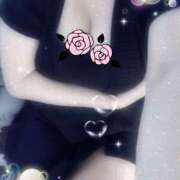 ヒメ日記 2025/09/30 16:00 投稿 ミモザ 飾窓