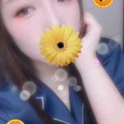 ヒメ日記 2025/10/01 09:35 投稿 ミモザ 飾窓