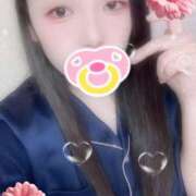 ヒメ日記 2025/10/04 10:02 投稿 ミモザ 飾窓