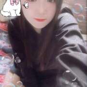 ヒメ日記 2025/10/04 13:00 投稿 ミモザ 飾窓