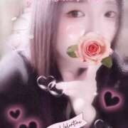 ヒメ日記 2025/10/04 19:00 投稿 ミモザ 飾窓