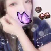 ヒメ日記 2025/10/05 09:30 投稿 ミモザ 飾窓