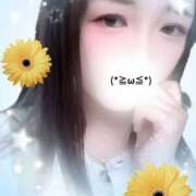 ヒメ日記 2025/10/05 10:00 投稿 ミモザ 飾窓