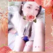 ヒメ日記 2025/10/05 14:03 投稿 ミモザ 飾窓