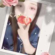 ヒメ日記 2025/10/06 10:00 投稿 ミモザ 飾窓