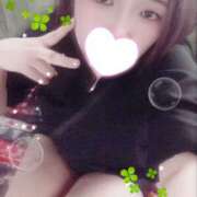 ヒメ日記 2025/10/06 19:00 投稿 ミモザ 飾窓