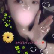 ヒメ日記 2025/10/06 21:30 投稿 ミモザ 飾窓