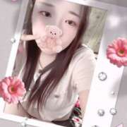 ヒメ日記 2025/10/07 13:20 投稿 ミモザ 飾窓