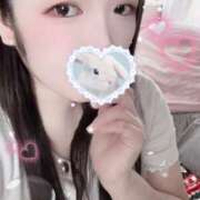 ヒメ日記 2025/10/07 16:00 投稿 ミモザ 飾窓