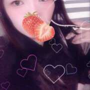 ヒメ日記 2025/10/09 20:04 投稿 ミモザ 飾窓