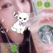 ヒメ日記 2025/10/09 23:08 投稿 ミモザ 飾窓