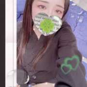 ヒメ日記 2025/10/13 14:30 投稿 ミモザ 飾窓