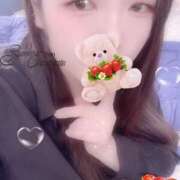 ヒメ日記 2025/10/13 18:30 投稿 ミモザ 飾窓