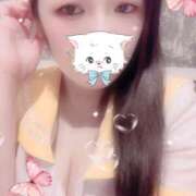 ヒメ日記 2025/10/13 20:30 投稿 ミモザ 飾窓