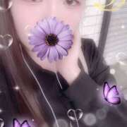 ヒメ日記 2025/10/13 22:54 投稿 ミモザ 飾窓