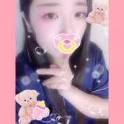 ヒメ日記 2025/10/14 08:30 投稿 ミモザ 飾窓