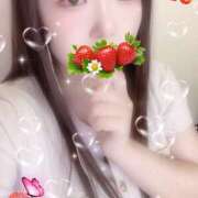 ヒメ日記 2025/10/14 10:30 投稿 ミモザ 飾窓