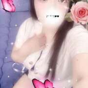 ヒメ日記 2025/10/14 12:28 投稿 ミモザ 飾窓