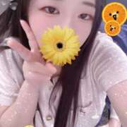 ヒメ日記 2025/10/14 15:30 投稿 ミモザ 飾窓