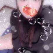 ヒメ日記 2025/10/15 16:39 投稿 ミモザ 飾窓