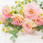 ヒメ日記 2025/10/17 00:10 投稿 ミモザ 飾窓