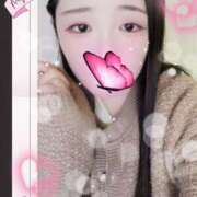 ヒメ日記 2025/10/17 09:30 投稿 ミモザ 飾窓