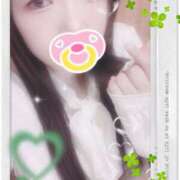 ヒメ日記 2025/10/17 21:00 投稿 ミモザ 飾窓