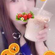 ヒメ日記 2025/10/18 12:00 投稿 ミモザ 飾窓