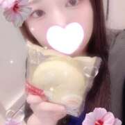 ヒメ日記 2025/10/18 15:00 投稿 ミモザ 飾窓