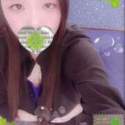 ヒメ日記 2025/10/18 18:00 投稿 ミモザ 飾窓