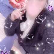 ヒメ日記 2025/10/20 12:30 投稿 ミモザ 飾窓