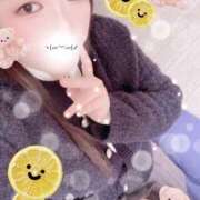 ヒメ日記 2025/10/20 18:30 投稿 ミモザ 飾窓