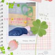 ヒメ日記 2025/10/21 10:00 投稿 ミモザ 飾窓