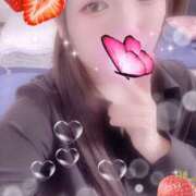 ヒメ日記 2025/10/21 19:00 投稿 ミモザ 飾窓