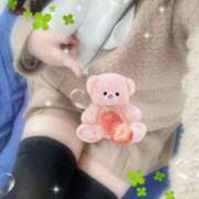 ヒメ日記 2025/10/22 10:00 投稿 ミモザ 飾窓