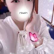 ヒメ日記 2025/10/22 13:00 投稿 ミモザ 飾窓