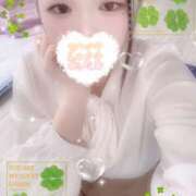 ヒメ日記 2025/10/22 19:00 投稿 ミモザ 飾窓