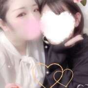 ヒメ日記 2025/10/22 23:00 投稿 ミモザ 飾窓