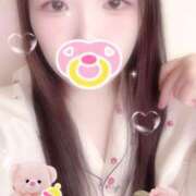 ヒメ日記 2025/10/23 12:00 投稿 ミモザ 飾窓