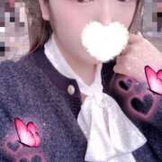 ヒメ日記 2025/10/23 15:00 投稿 ミモザ 飾窓