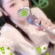 ヒメ日記 2025/10/23 18:00 投稿 ミモザ 飾窓