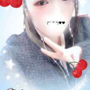 ヒメ日記 2025/10/23 21:50 投稿 ミモザ 飾窓