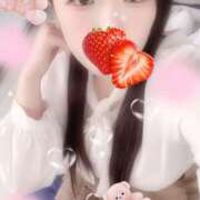 ヒメ日記 2025/10/25 16:00 投稿 ミモザ 飾窓