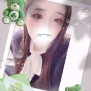 ヒメ日記 2025/10/25 19:00 投稿 ミモザ 飾窓