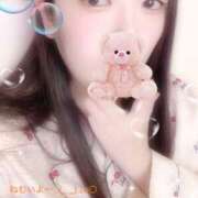 ヒメ日記 2025/10/26 10:00 投稿 ミモザ 飾窓