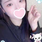 ヒメ日記 2025/10/26 13:00 投稿 ミモザ 飾窓